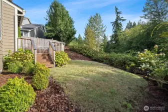 Easy maintanance landscaping