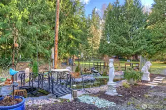 Custom Koi Pond & Garden