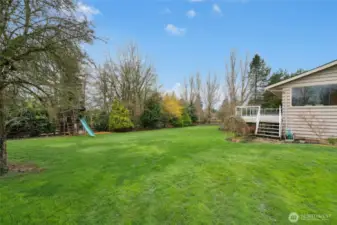 Spectacular level lawn