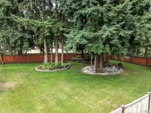 Beautiful landscaped backyard with greenbelt on 1 side