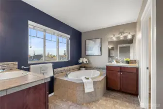 Primary bath is so luxurious and inviting.