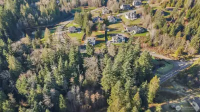 Keep some trees for privacy