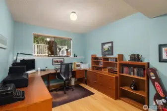 The versatile downstairs bedroom also makes a great office or workout/hobby space.