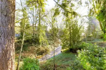 Peaceful Surroundings