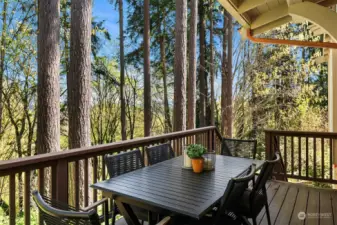 Dining alfresco?  Dinner on the deck?  The roomy private exterior deck overlooks the nearly 5 acre permanently preserved woodland with the Cascade mountain range in the distance.