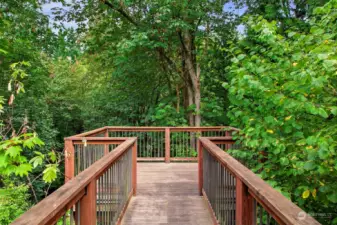 Two different 'lookout' deck platforms overlook the nearly 5 acre preserved woodland in the private ownership of the Conover Commons homeowners.