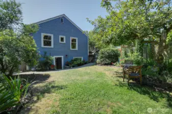 Yard is fenced and has fruit trees and lots of flowering bushes and plants.