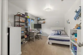 This large room also has a walk-in closet.