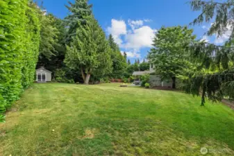 Great open yard space for the kids or dogs to run free!  There is also a dog run area on the back side of the garage.
