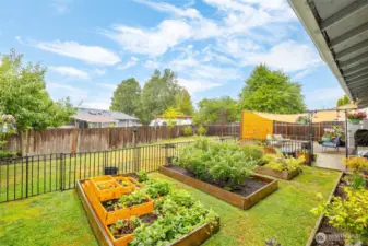 Raised garden beds