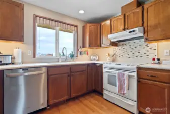 Loads of cooking and workspace with solid surface counters.