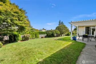 A view of the back yard from the back of the garage.