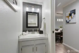 Guest bathroom downstairs