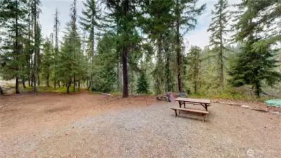 Open outdoor space with picnic table and firepit area surrounded by mature evergreens—perfect for gatherings.