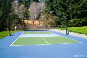 The 5-home community features a pickleball court!