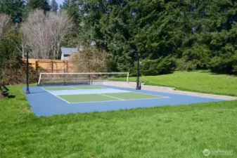 Calling all pickleball fanatics!