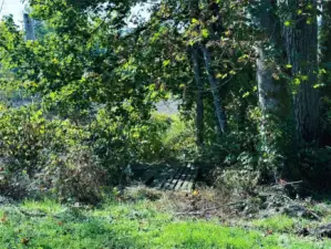 Little bridge to cross creek to back of property
