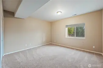 Lower level bedroom