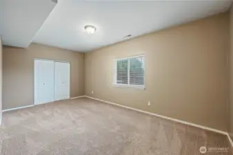 Lower level bedroom