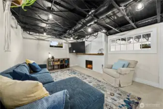 Basement living room