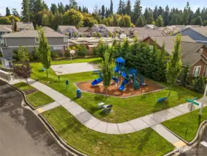 Community playground