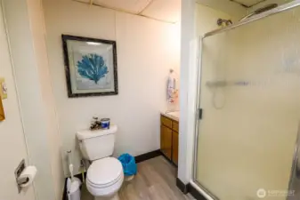 lower level bathroom.