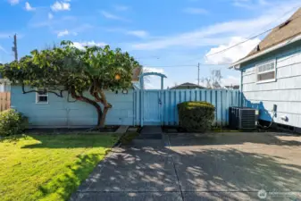 Mature Rhodie-maybe same vintage as the home?