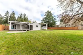 An absoutely EXPANSIVE back yard!