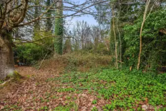 Property access