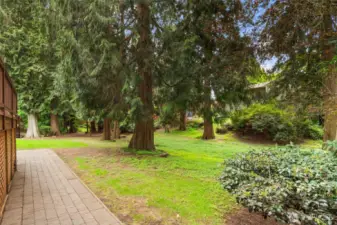 These lovely trees make it feel like having a park in your own back yard.