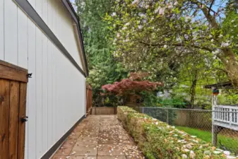 A cedar side gate opens to a lovely paved walk to your back yard.