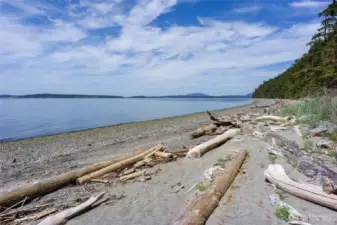 Easy trail leads to miles of some of the best beach on Lopez.