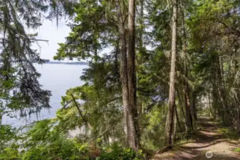 Easy trail to one of the best beaches on Lopez.