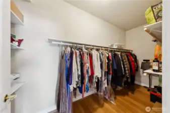 Here is a good size walk-in closet in the lower-level guest room.