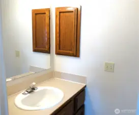 Downstairs bathroom