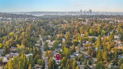 Ariel View- Seattle Downtown in background