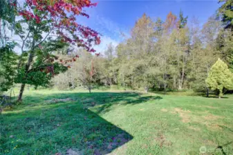 Pasture area lined with trees and a large pond.