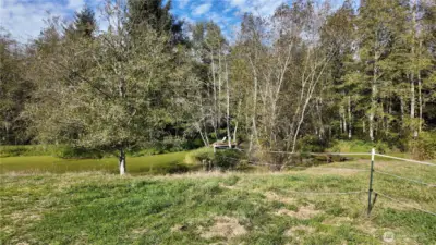 Pasture is fenced and cross fenced. View of the pond.