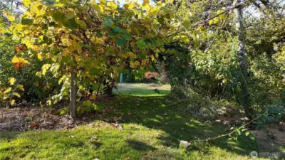 Beautiful garden, ready for you to reap the rewards.
