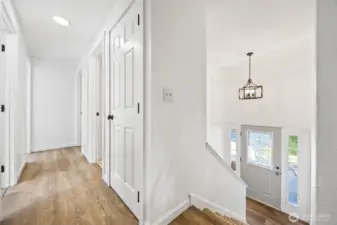 Freshly installed flooring with durable luxury vinyl plank and plush carpet.