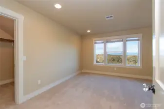 Upstairs 3rd bedroom with walk-in closet.