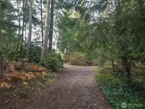 Cushman Powerline Trail at entrance