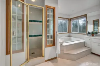 Primaryt bath also has a large custom tile walk-in shower!