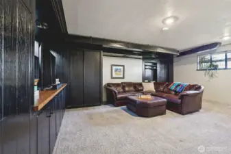 Lower level family room