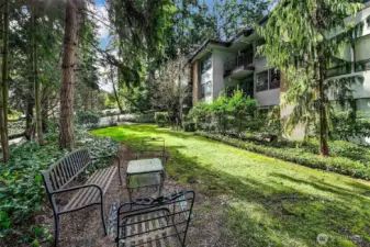 Common park-like yard with beautiful trees.