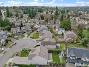 Aerial shot of the cul-de-sac.