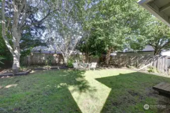 Large backyard, bordered by trees