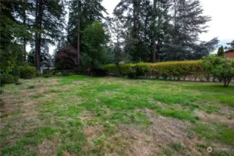 Backyard view from the home.