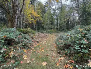 Trail keeps going property is on both sides just not cleared.