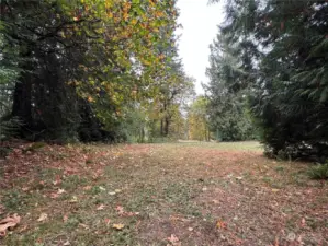 2nd Clearing and building site beautiful meadow